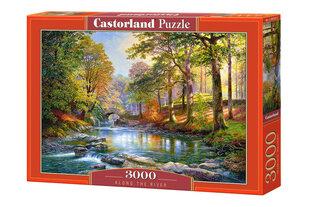Пазл Castorland Puzzle Цветная река 3000 дет. цена и информация | Пазлы | hansapost.ee
