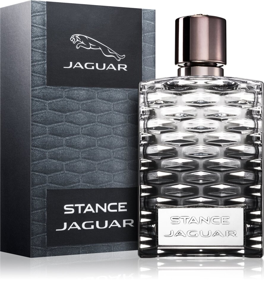 Tualettvesi Jaguar Stance Jaguar – EDT 100 ml цена и информация | Parfüümid meestele | hansapost.ee