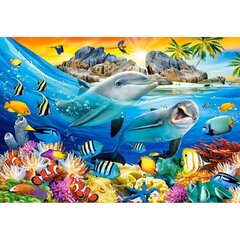 Пазл Castorland Puzzle Dolphins in the tropics, 1000 дет. цена и информация | Пазлы | hansapost.ee