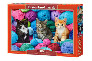 Пазл Castorland Puzzle Kittens in Yam Store, 1000 дет. цена и информация | Пазлы | hansapost.ee