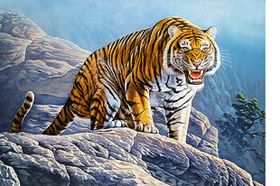 Пазл Castorland Тигр на скалах 500 шт. цена и информация | Пазлы | hansapost.ee