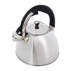 Чайник Maestro из нержавеющей стали MR-1333S, 2,2 л. цена и информация | Чайники, кофейники | hansapost.ee