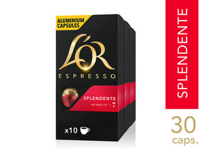Kohvikapslid L'OR SPLENDENTE, 30 kapslit Nespresso® masinatele hind ja info | Kohv ja kakao | hansapost.ee
