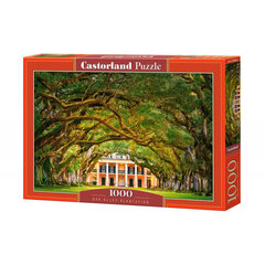 Пазл Castorland Puzzle Oak Alley Plantation, 1000 д. цена и информация | Пазлы | hansapost.ee
