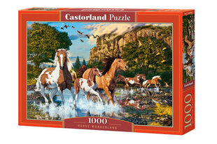 Пазл Castorland Puzzle Horse Wonderland, 1000 шт. цена и информация | Пазлы | hansapost.ee