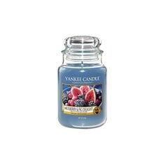 Ароматическая свеча Yankee Candle Large Jar Mulberry & Fig Delight 623 г цена и информация | Подсвечники, свечи | hansapost.ee