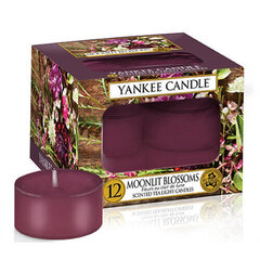 Yankee Candle Moonlit Blossoms lõhnaküünal 12 x 9.8 g hind ja info | Küünlad, küünlajalad | hansapost.ee