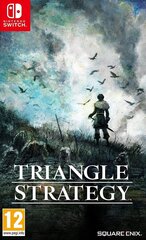 Nintendo Switch Triangle Strategy hind ja info | Konsooli- ja arvutimängud | hansapost.ee