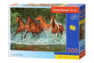 Puzzle 300 Cascade Run 030361 hind ja info | Pusled lastele ja täiskasvanutele | hansapost.ee