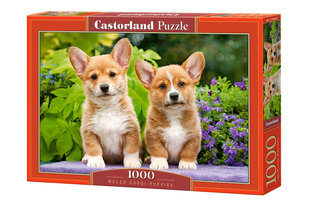 Puzzle 1000 WELSH CORGI PUPPIES 104659 hind ja info | Pusled lastele ja täiskasvanutele | hansapost.ee