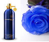 Tualettvesi unisex Montale Paris Blue Amber EDP 100 ml hind ja info | Parfüümid naistele | hansapost.ee