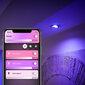 LED pirn Philips Hue GU10 5.7W 350lm цена и информация | Lambipirnid ja LED-pirnid | hansapost.ee