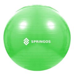 Treeningpall pumbaga 65 cm hind ja info | Springos Spordikaubad | hansapost.ee