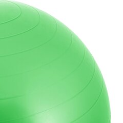Treeningpall pumbaga 65 cm цена и информация | Гимнастические мячи | hansapost.ee