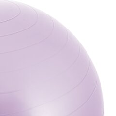 Мяч для упражнений с насосом Springos FB0011 65 см цена и информация | SportVida Фитнес упражнений & Реабилитации мяч 55CM диаметр с насосом Коралллого Розовый | hansapost.ee