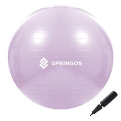 Мяч для упражнений с насосом Springos FB0011 65 см цена и информация | Гимнастические мячи | hansapost.ee