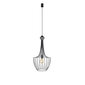 Nowodvorski Lighting rippvalgusti 8851 Luksor Black S цена и информация | Rippvalgustid | hansapost.ee