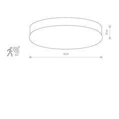 Nowodvorski Lighting laevalgusti 8828 Kasai Satin Nickel Sensor hind ja info | Laelambid | hansapost.ee