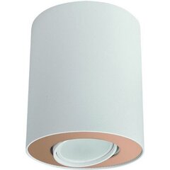 Nowodvorski Lighting потолочный светильник 8896 Set White/Gold цена и информация | Потолочные светильники | hansapost.ee