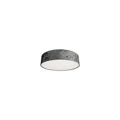 Nowodvorski Lighting laevalgusti 8956 Crogo Grey IV hind ja info | Laelambid | hansapost.ee