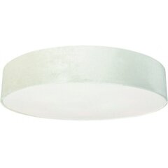 Nowodvorski Lighting потолочный светильник 8957 Laguna Cream IV цена и информация | Потолочные светильники | hansapost.ee