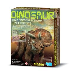 4M Komplekt kaeva välja Triceratops hind ja info | Arendavad laste mänguasjad | hansapost.ee