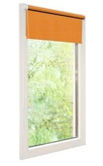 Рулонные шторы Mini I, 38x150 см цена и информация | Рулонные шторы | hansapost.ee