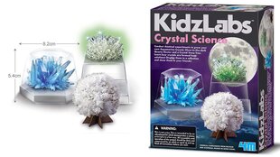 Набор для изучения кристаллов 4М  цена и информация | Развивающие игрушки для детей | hansapost.ee