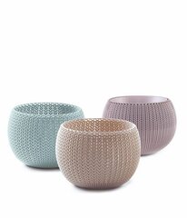 Istutuspottide komplekt COZIES TRIO 3tk, violet/beez/helesinine hind ja info | Lillepotid | hansapost.ee