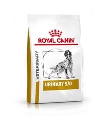 Royal Canin для собак с проблемами почек Dog urinary, 2 кг цена и информация | Сухой корм для собак | hansapost.ee