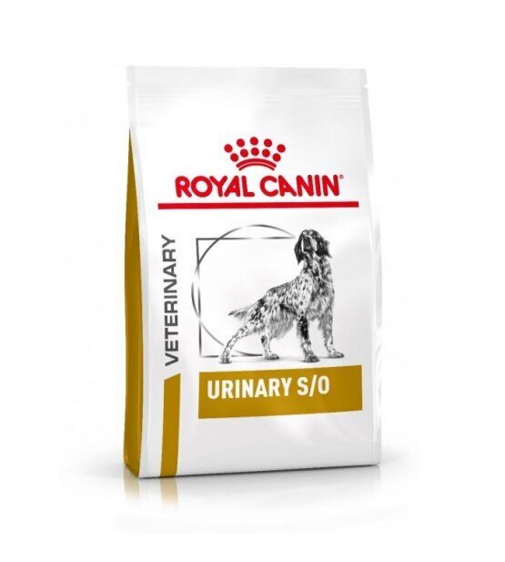 Royal Canin neeruprobleemidega koertele Dog urinary, 2 kg цена и информация | Koerte kuivtoit ja krõbinad | hansapost.ee