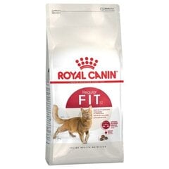 Royal Canin для кошек, бывающих на улице Regular Fit 32, 10 кг цена и информация | Сухой корм для кошек | hansapost.ee