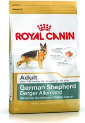 Royal Canin Saksa lambakoera tõugu koertele Adult, 3 kg цена и информация | Сухой корм для собак | hansapost.ee