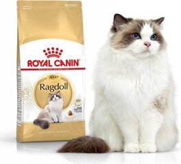 Royal Canin tõukassidele Adult, 0,4 kg hind ja info | Kassi kuivtoit ja kassikrõbinad | hansapost.ee