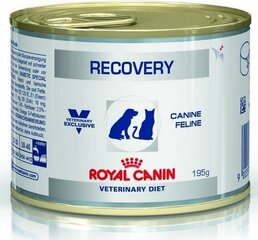 Диетический корм Royal Canin для собак и кошек на время выздоровления 195 г цена и информация | Консервы для кошек | hansapost.ee