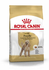 Royal Canin корм для собак породы пудель Adult, 1,5 кг цена и информация | Сухой корм для собак | hansapost.ee