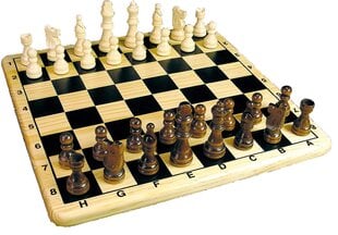 Тактическая настольная игра Шахматы цена и информация | Настольные игры | hansapost.ee