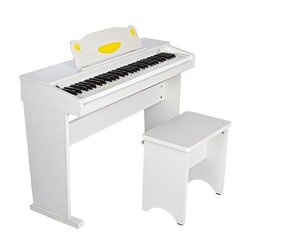 Artesia FUN-1(61-key) детское цифровое фортепиано цена и информация | Клавишные музыкальные инструменты | hansapost.ee