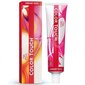 Juuksevärv Wella Color Touch 60 ml, 3/0 цена и информация | Juuksevärvid | hansapost.ee