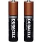 Duracell AAA LR03 1.5V Alkaline Long Lasting Power Batteries MN2400 (2pcs) цена и информация | Patareid | hansapost.ee