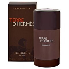 Дезодорант-карандаш Hermes Terre D'Hermes для мужчин, 75 мл цена и информация | Hermes Духи, косметика | hansapost.ee