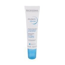 Toitev huulepalsam Bioderma Atoderm Levres 15 ml цена и информация | Помады, бальзамы, блеск для губ | hansapost.ee