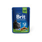 Konserv kassidele kotis Brit Premium Chicken Slices Sterilised 100g x 24 tk hind ja info | Kassikonservid | hansapost.ee