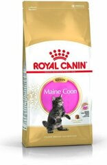 Royal Canin корм для породы котят Мейн Кун, 4 кг цена и информация | Сухой корм для кошек | hansapost.ee