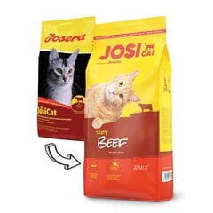 JosiCat maitsva loomalihaga Tasty Beef, 10 kg hind ja info | Kassi kuivtoit ja kassikrõbinad | hansapost.ee