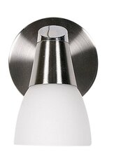 Candellux настенный светильник Selia цена и информация | Настенные светильники | hansapost.ee