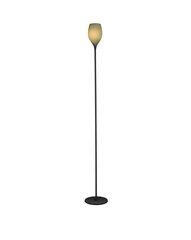 Azzardo põrandalamp Izza Green price and information | Floor lamps | hansapost.ee