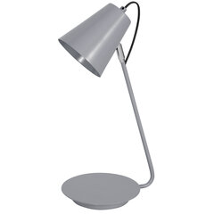 Luminex настольный светильник 8298 цена и информация | Настольные лампы | hansapost.ee