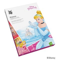 Laste söögiriistade komplekt WMF Disney Printsess 4-osaline цена и информация | Детская посуда, контейнеры для молока и еды | hansapost.ee