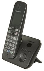 Panasonic KX-TG6821, серый цена и информация | Стационарные телефоны | hansapost.ee